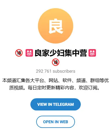 良家少妇集中营