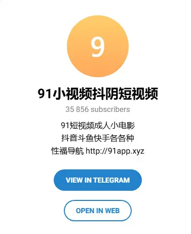 91小视频抖阴短视频