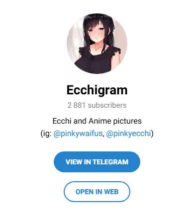  Ecchigram