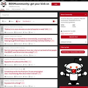 BDSM社区 (BDSMcommunity)