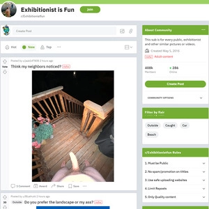 Reddit裸露主义者乐趣 (Reddit Exhibitionist Fun)