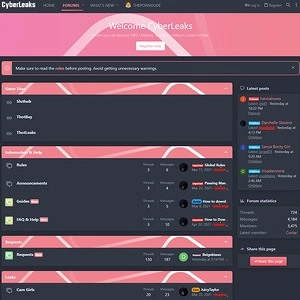 网络泄密 (CyberLeaks)