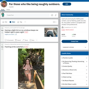 Reddit 公开 (Reddit Public)