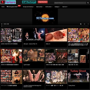 91酷刑 (91Torture)