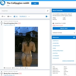 Reddit 网站 (Reddit Ass)