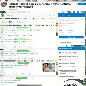 Reddit 闪照女孩 (Reddit Flashing Girls)