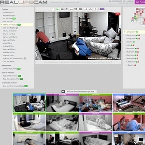 真实生活摄像头 (RealLifeCam)