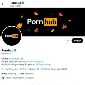 PornHub 的 Twitter (PornHub Twitter)