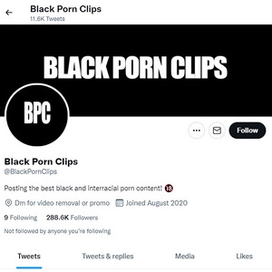 黑色色情片 (Black Porn Clips)