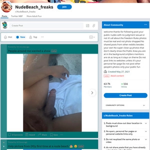 Reddit沙滩裸体怪人 (Reddit Nude Beach Freaks)