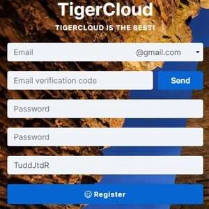 虎云VPN