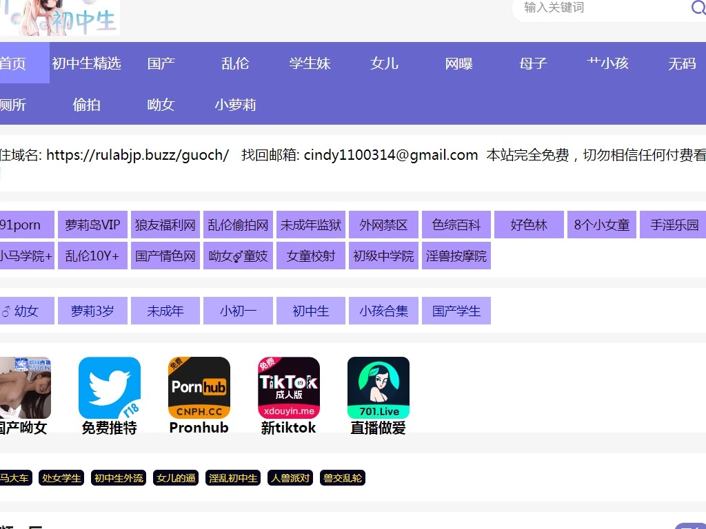 Domestic junior high school students